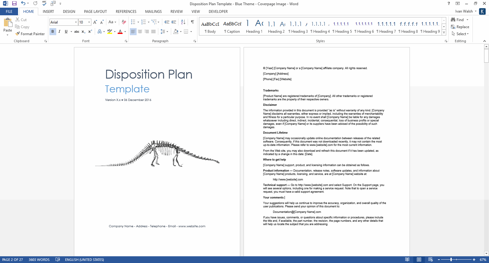 Project Transition Plan Template Excel from klariti.com