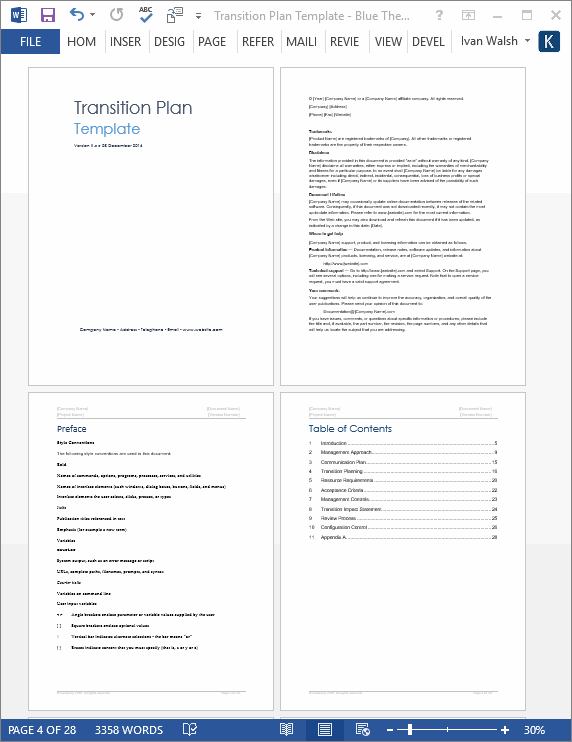 transition plan template excel