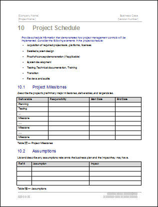 Business Case Template