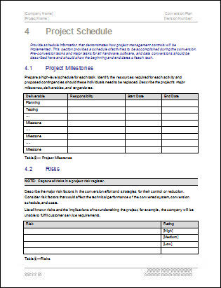 Conversion Plan MS Word Template