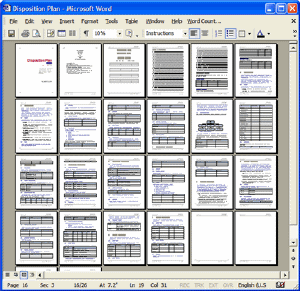 Disposition Plan Template - MS Word 26 Pages