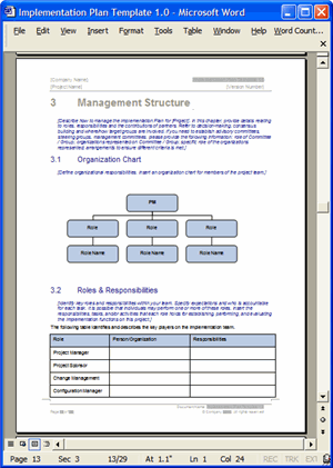 Implementation Plan - Management Structure