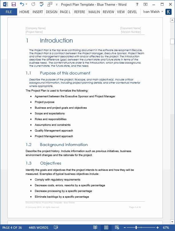 Project Strategy Document Template