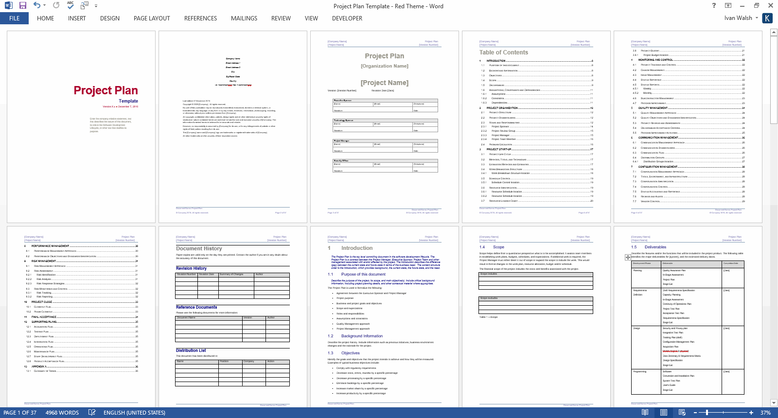 Project Plan Templates MS Word 10 X Excels Spreadsheets Templates