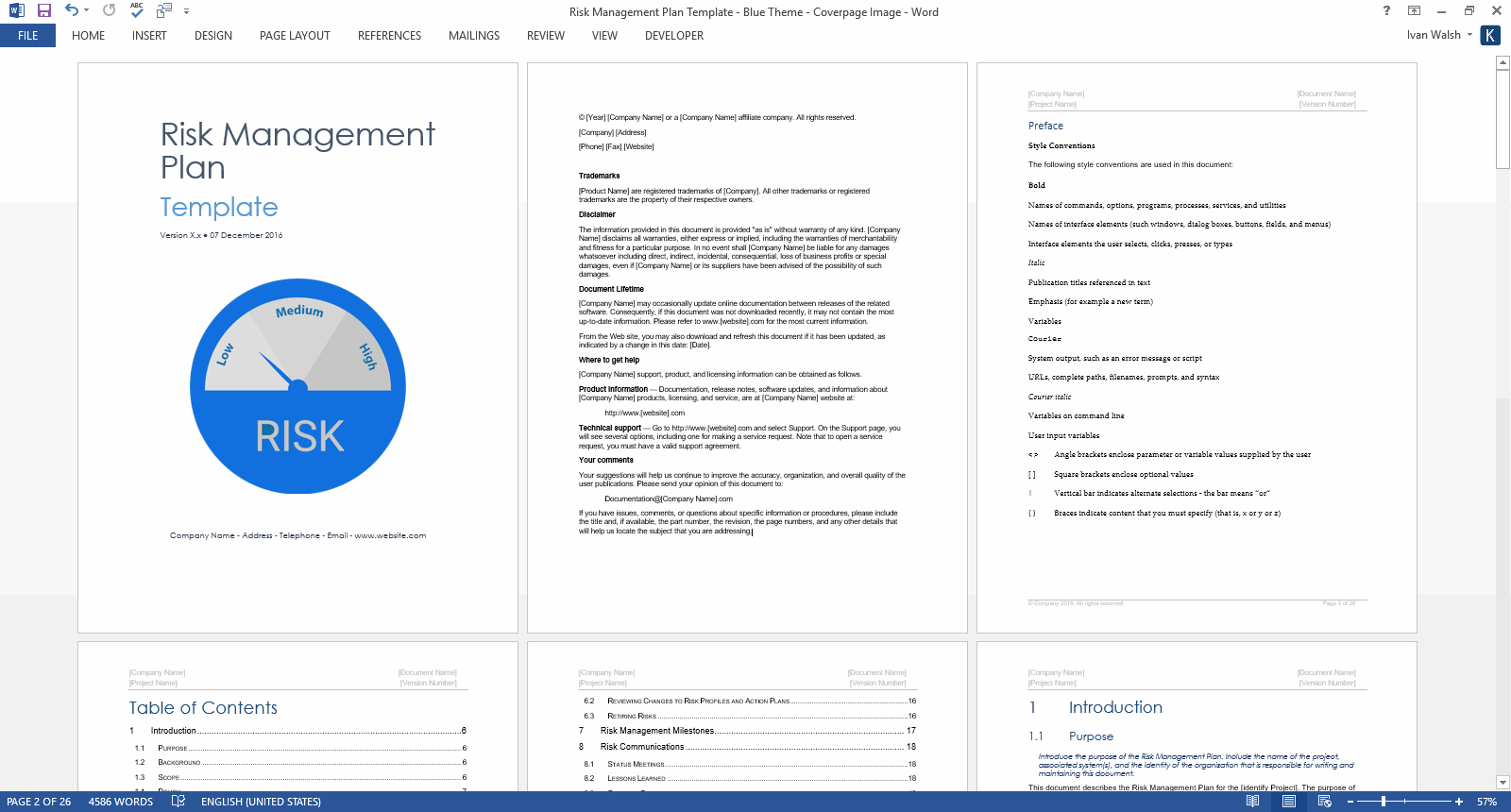 Risk Management Plan Template MS Word Excel Templates Forms