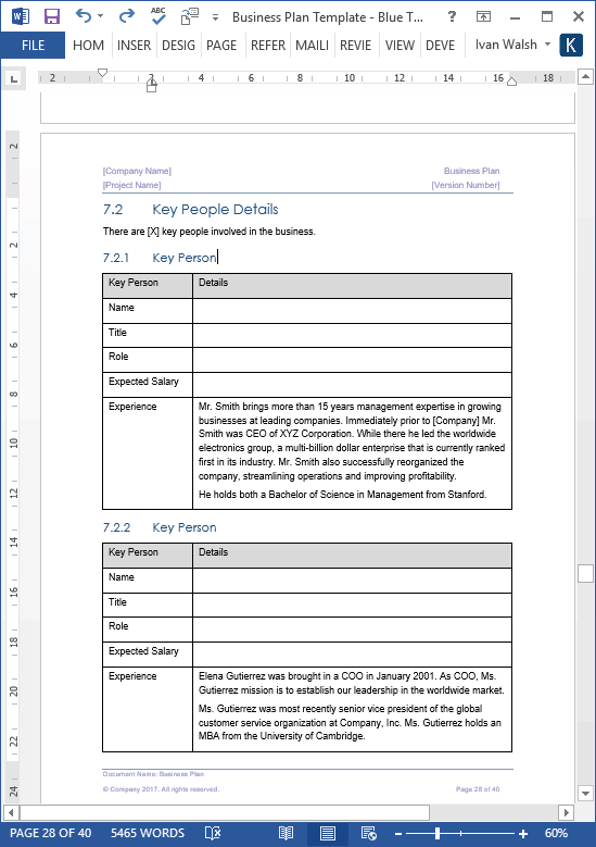 Business Plan Template (MS Office) – Templates, Forms, Checklists for MS  Office and Apple iWork