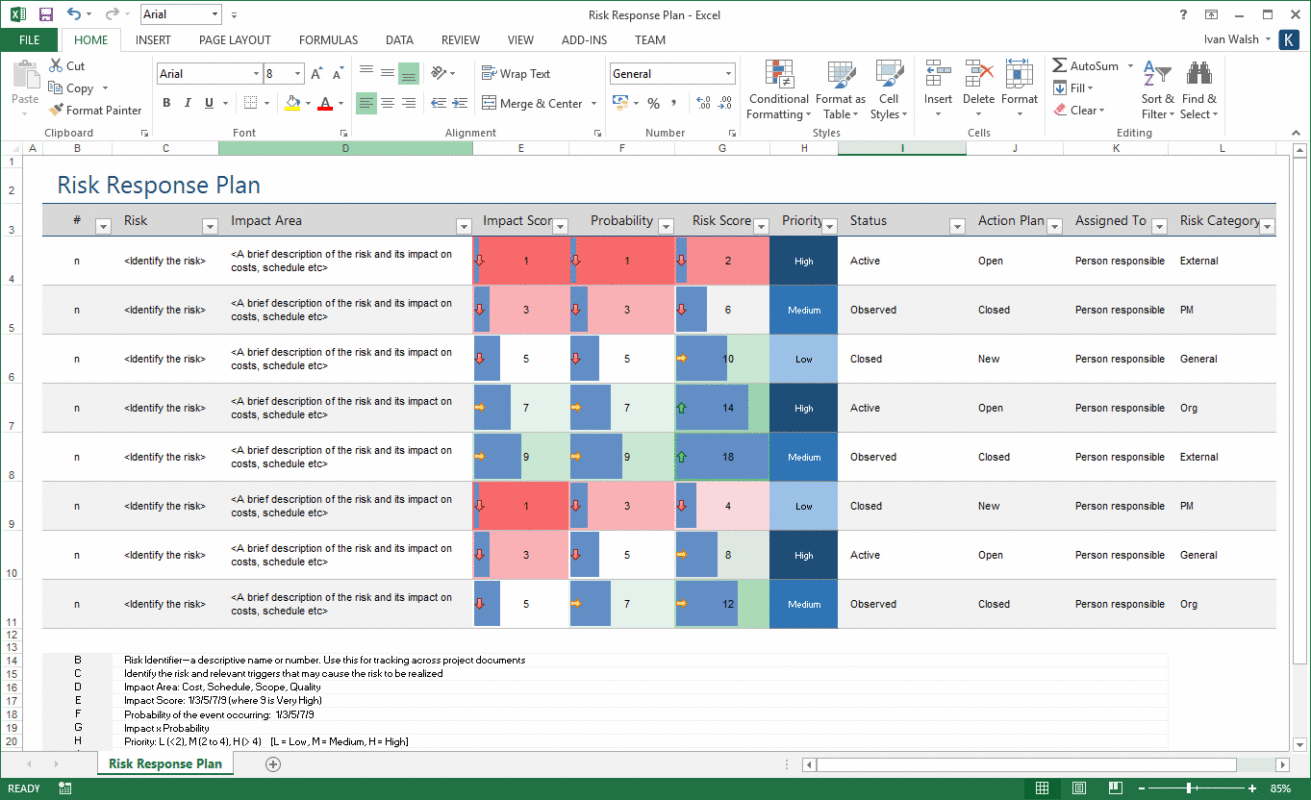 project risk management plan template excel