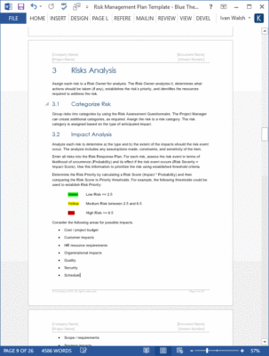 agenda example info risk management template